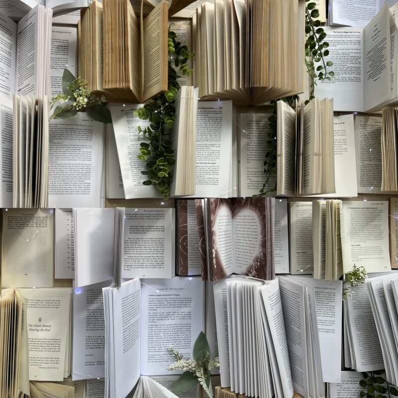 IMG_9949 2 IMG_9949 2