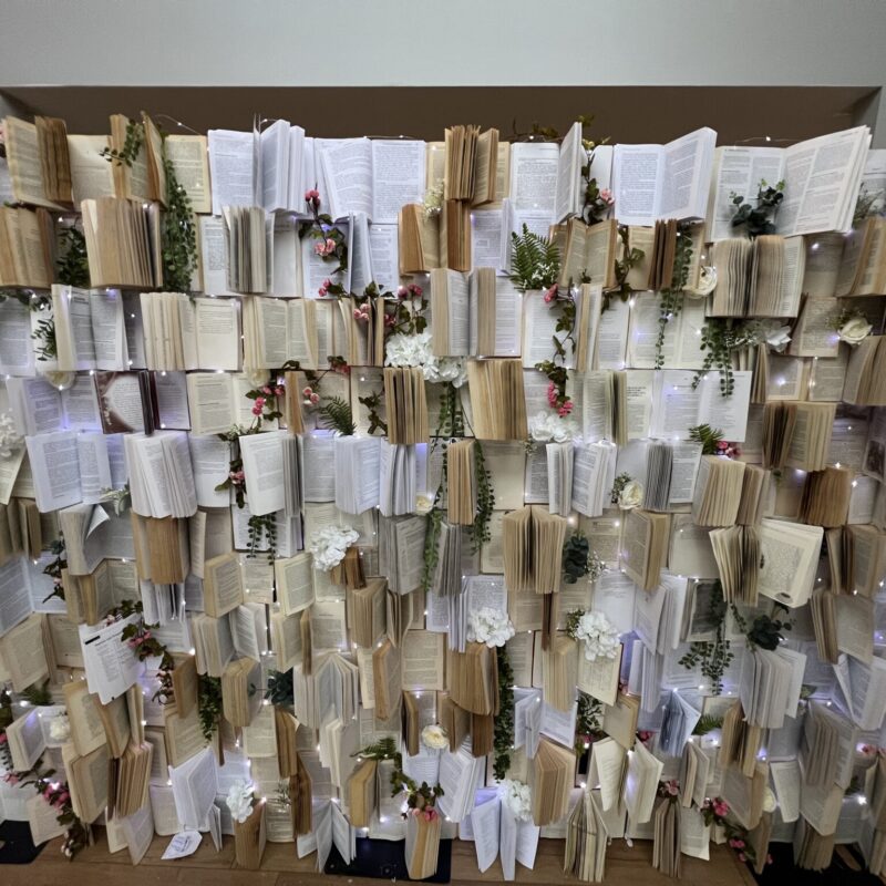 IMG_9981 3 IMG_9981 3