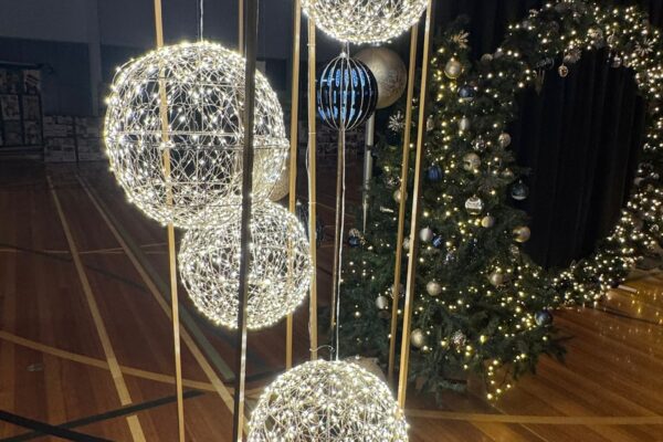 1cafae2a-2c6b-43a0-9ded-aec61c42d471 2